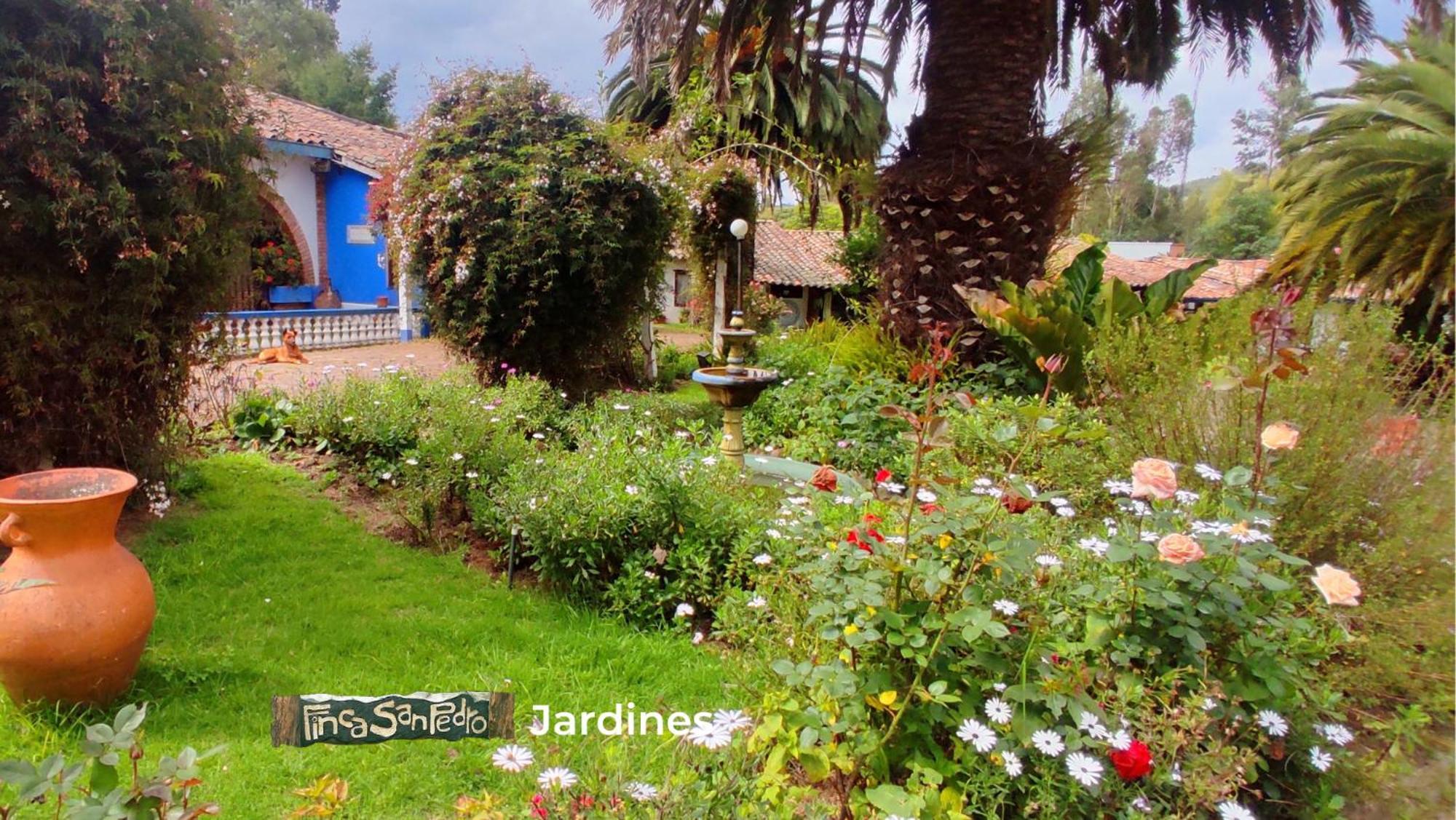 Finca San Pedro -Alojamiento Campestre Y Reserva Natural- Sogamoso Exteriér fotografie
