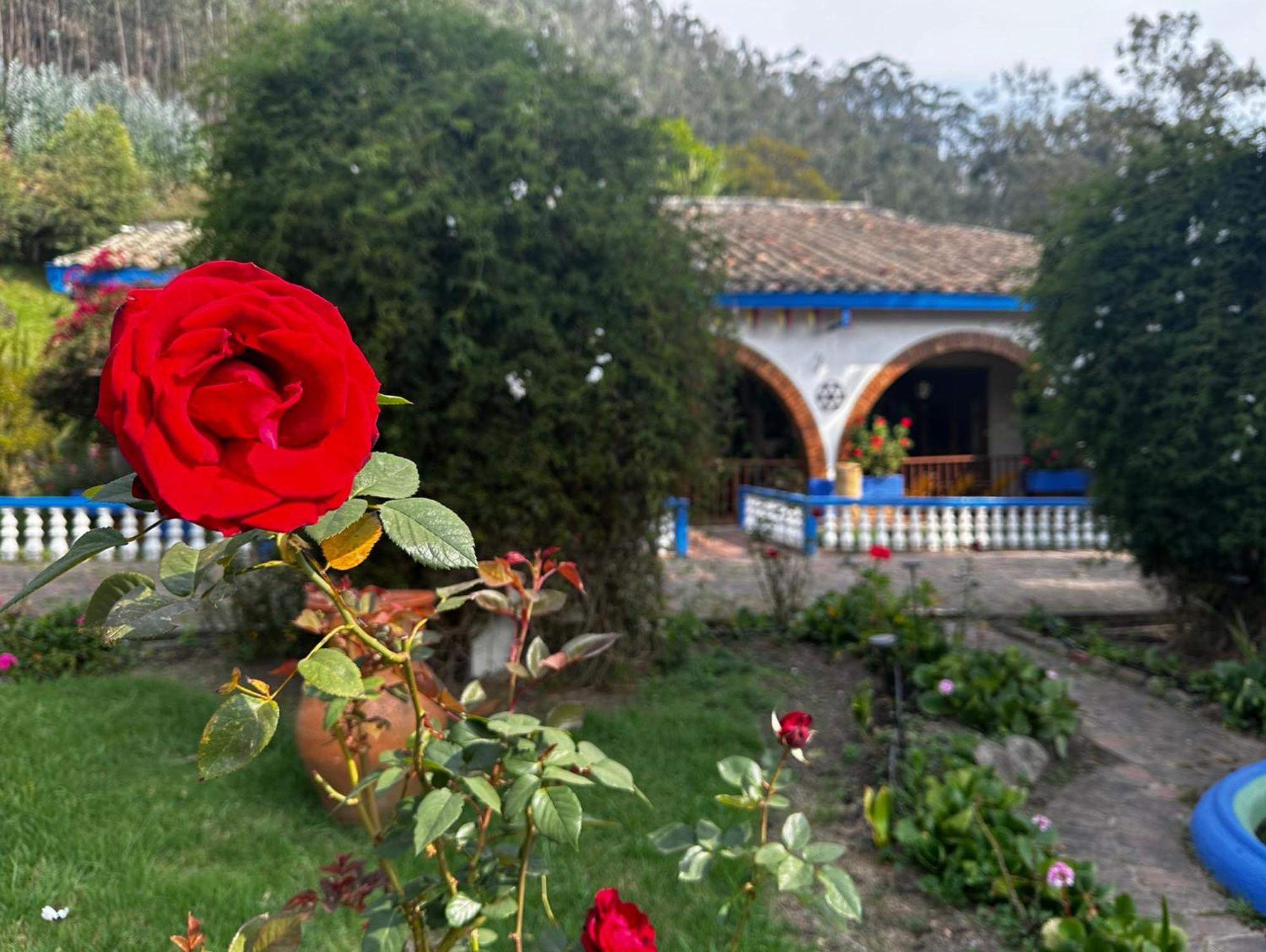 Finca San Pedro -Alojamiento Campestre Y Reserva Natural- Sogamoso Exteriér fotografie